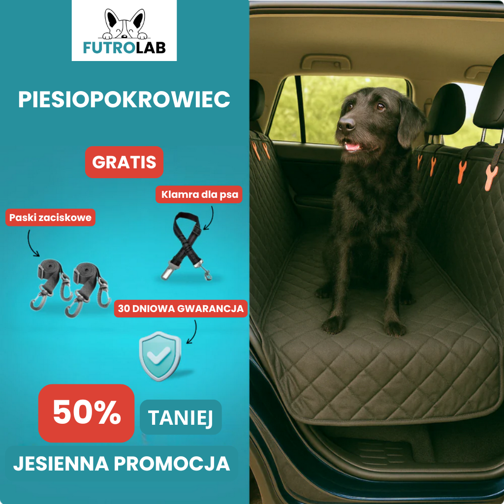 PiesioPokrowiec – bo Twój pies zasługuje na komfort